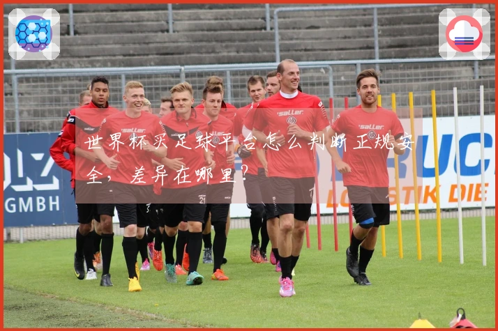 世界杯买足球平台怎么判断正规安全,差异在哪里?