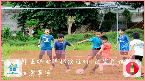 选择正规世界杯投注app的实用经验和注意事项